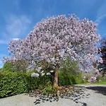 Bed & Breakfast Uit De Kunst Anna Paulowna Bingelrade