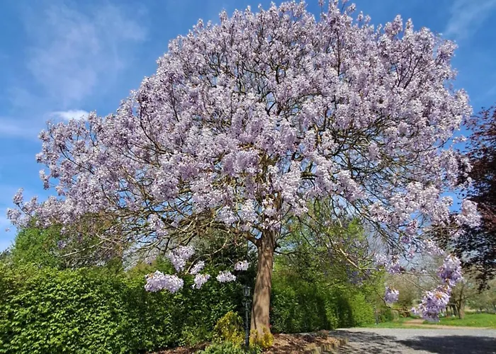 Bed & Breakfast Uit De Kunst Anna Paulowna Bingelrade